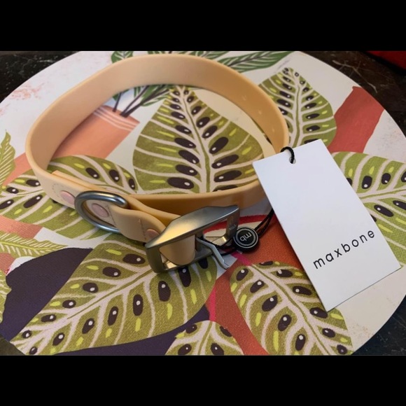 Brand new MAXBONE dog collar! SOLD at SAKS FIFTH AVENUE!! AVAILABLE here! - Picture 5 of 6